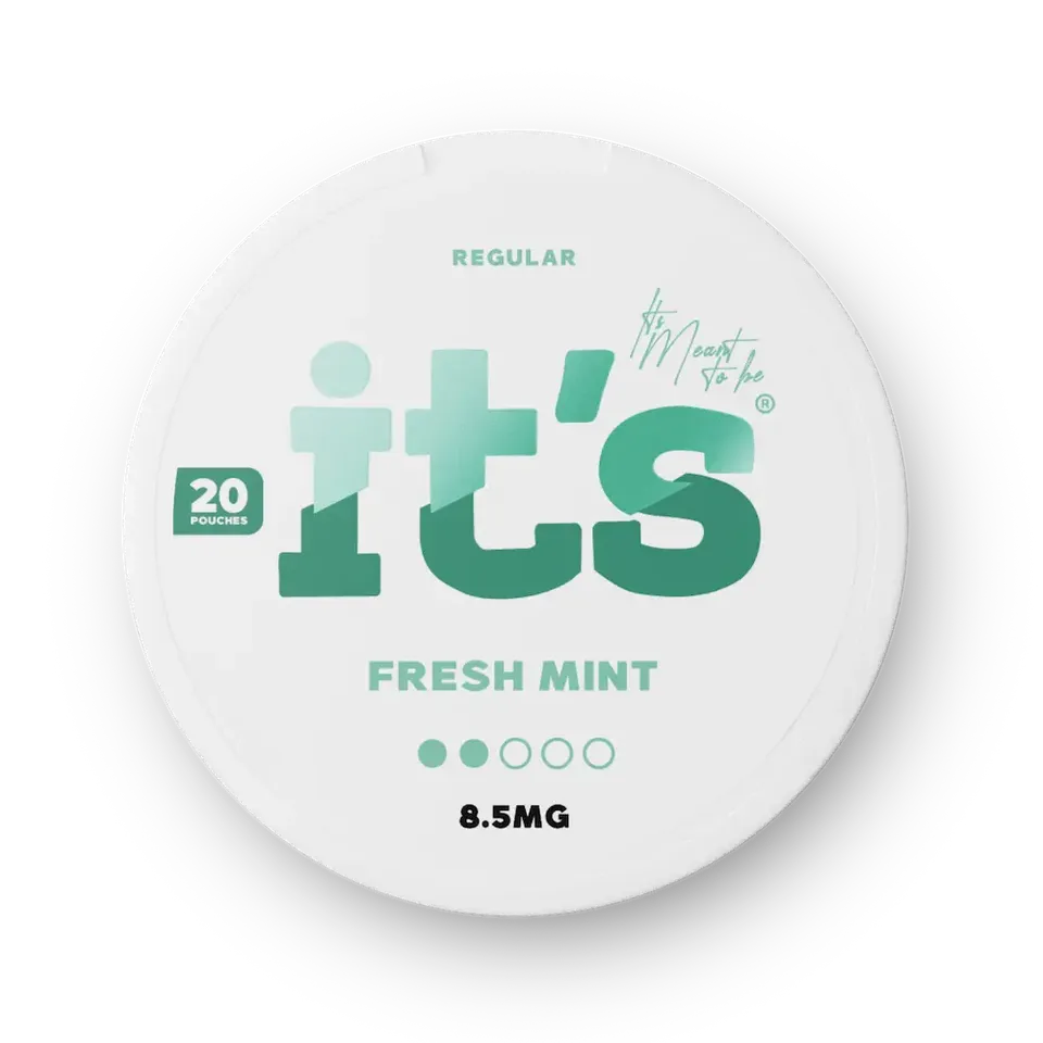 ITS Nicotine Pouches Fresh Mint sachets nicotine 8,5mg