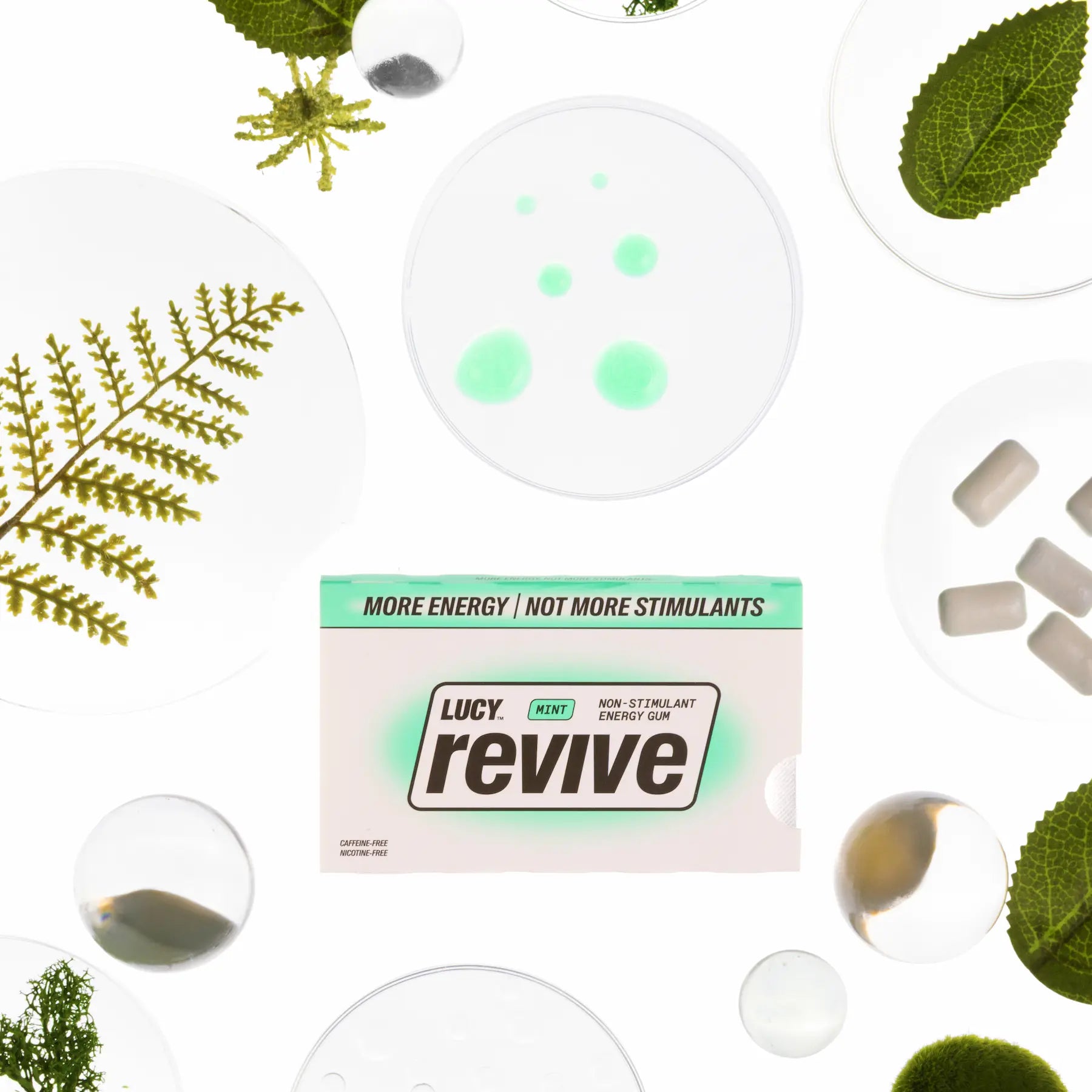Lucy Revive Gum chewing-gum menthe sans nicotine