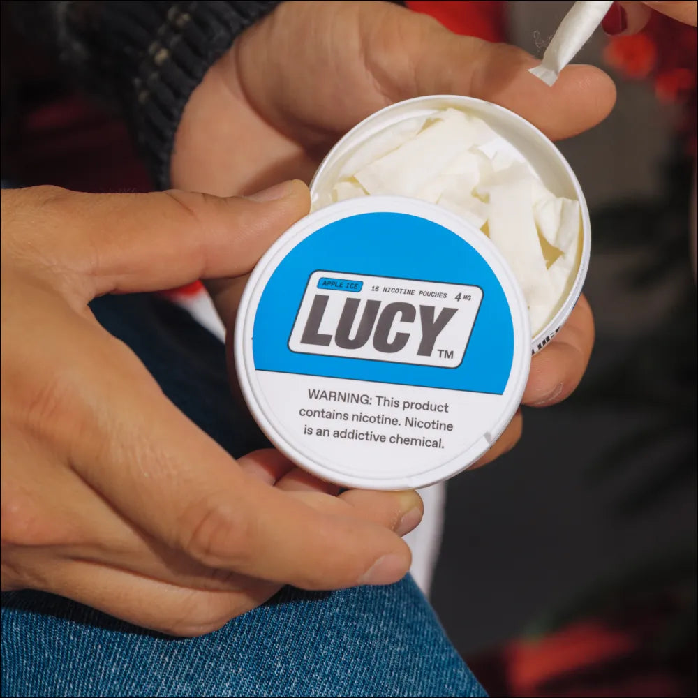 Lucy Pouches sachets nicotine 8mg menthe