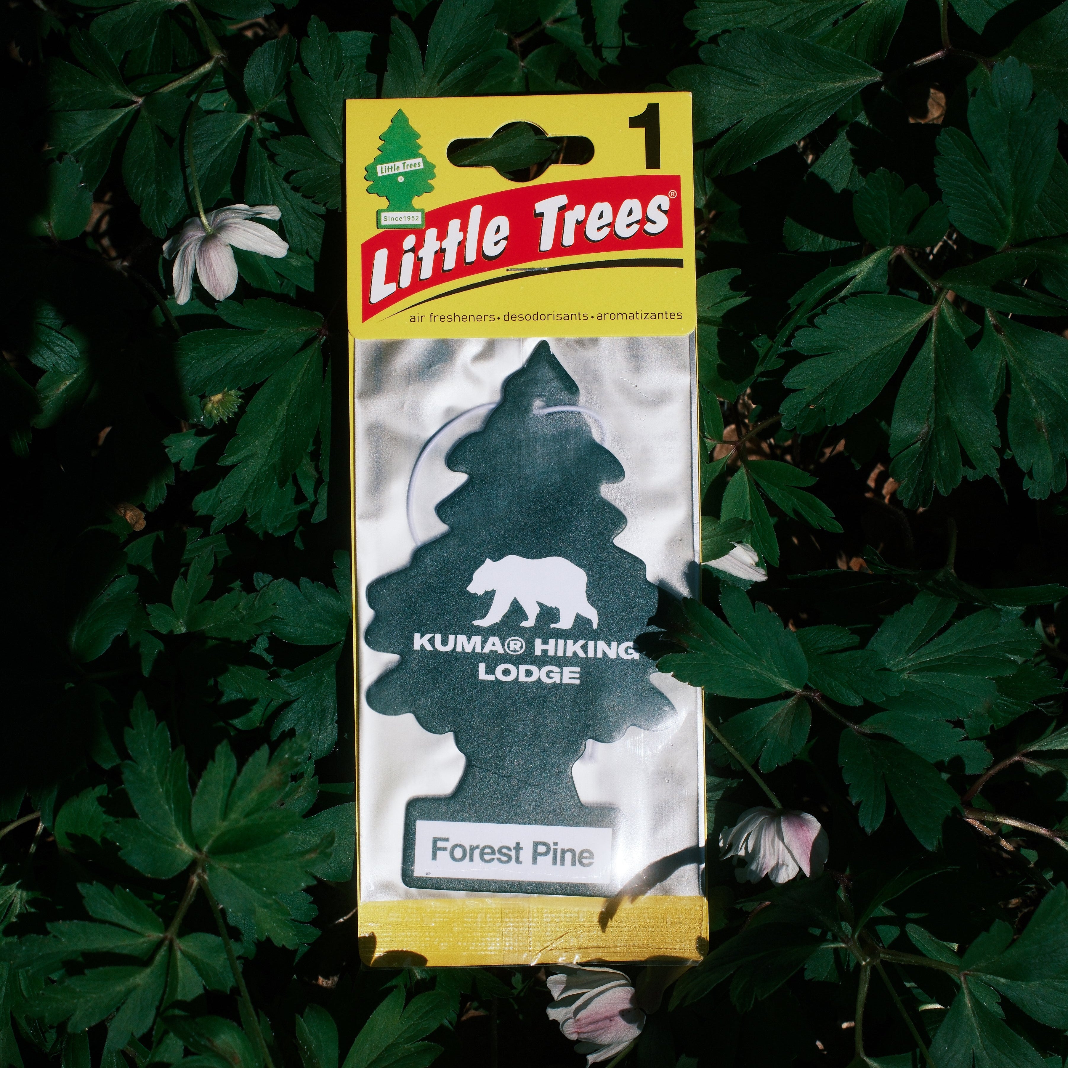 Kuma Hiking désodorisant voiture sapin Royal Pine vert